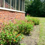 Back Porch Landscaping